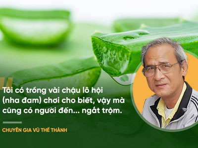 Bài thuốc nổi tiếng thế giới "chữa nhiều bệnh ung thư": Chuyên gia Việt Nam nói gì?
