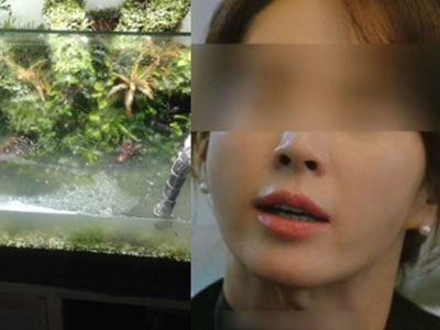 Giận chồng vô tâm, vợ "truy sát" bể cá yêu quý của chồng bằng bột giặt và nước tẩy bồn cầu