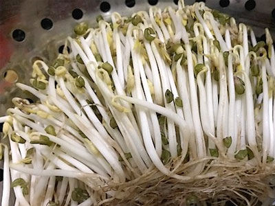 Cách nhận biết 5 loại rau hay bị phun hóa chất