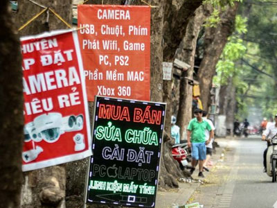 Treo biển quảng cáo trên cây: Phạt 10 triệu đồng