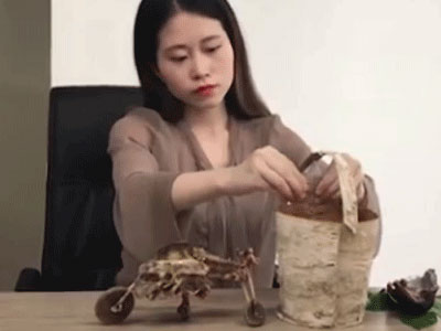 "Thánh ăn công sở" lại gây choáng khi nướng gà bằng chậu hoa, lấy xương gà làm xe đồ chơi