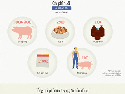 Nuôi heo 4 triệu bán 2 triệu đồng