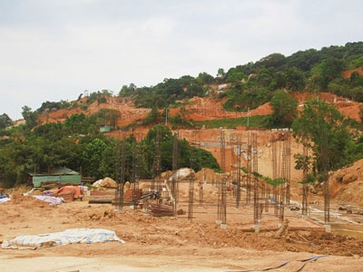 Người viết tâm thư gửi Thủ tướng về Sơn Trà nhận phản hồi sáng nay