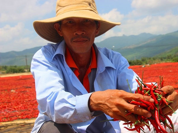 Ảnh bìa bài viết 452109