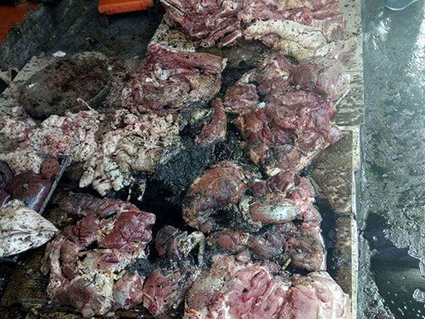 Vụ tạt dầu luyn vào thịt lợn ở Hải Phòng: Bước đầu xác định được người chủ mưu