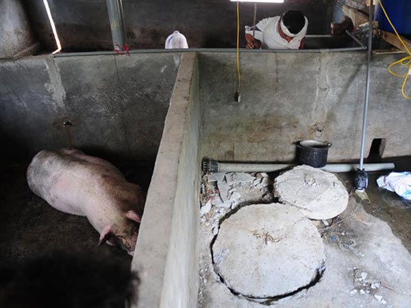 Giỡn mặt với tử thần khi tự ý xây hầm biogas