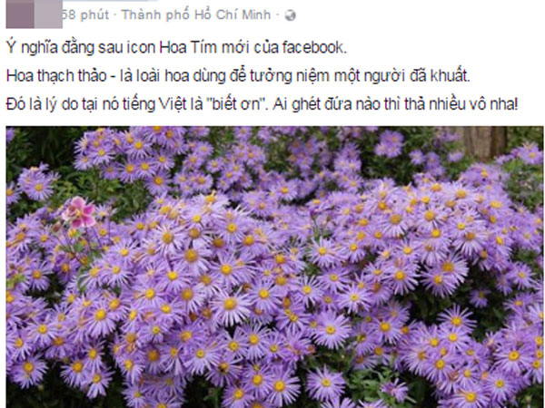"Thả hoa" nhiều trên Facebook như thế, nhưng liệu bạn có biết ý nghĩa bông hoa màu tím này không?