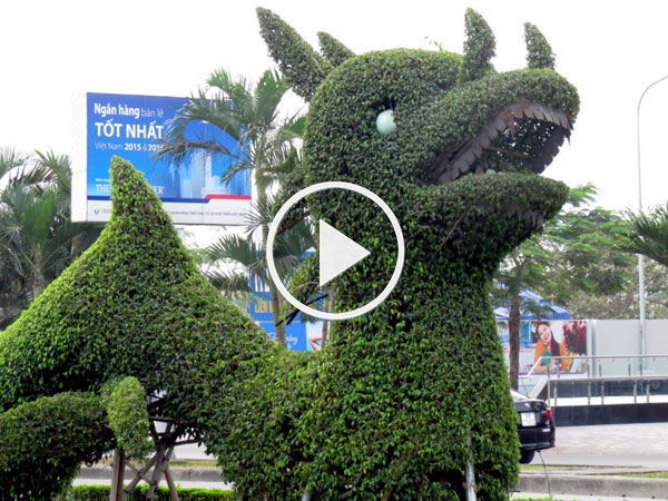 24 con rồng khổng lồ từ cây xanh ở Hải Phòng