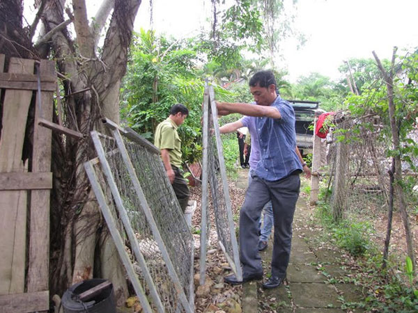 Khỉ “lạ” tấn công phụ nữ, giết gà của dân