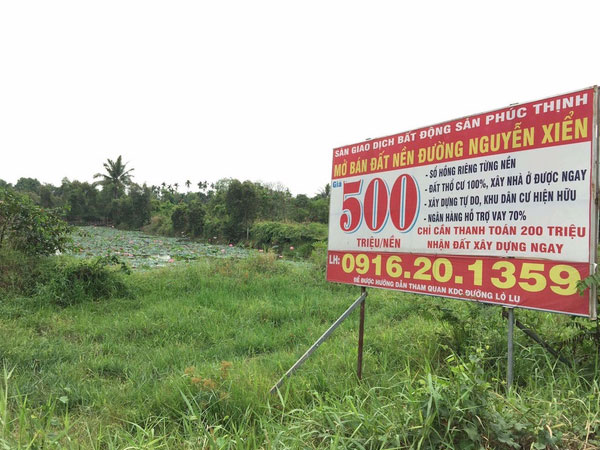 Tách thửa 2.000 m2 phải lập dự án: Phân lô, bán nền hết đất sống?