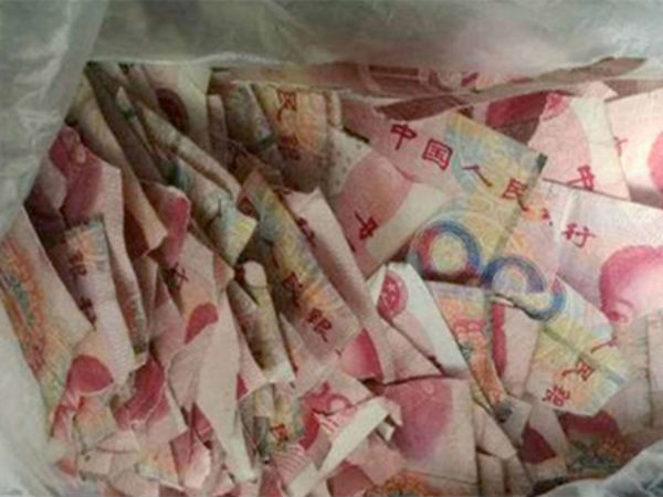 Ảnh bìa bài viết 454670