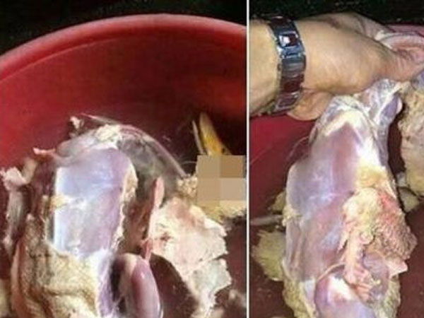 Chia tay vì không biết gọt dứa, vặt lông vịt có phải là tình yêu?