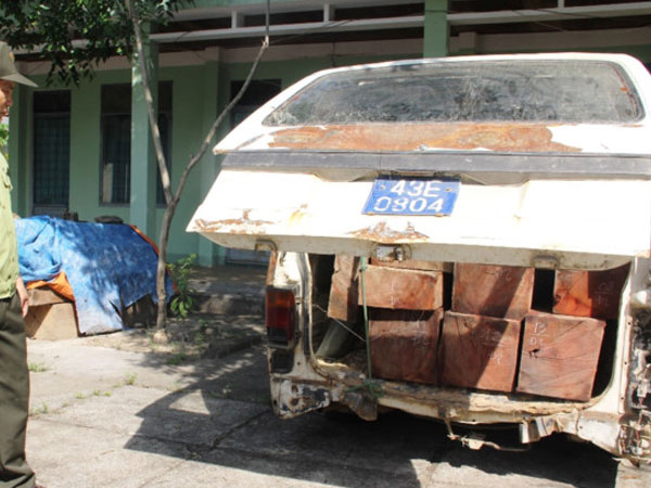 Tài xế xe biển xanh bỏ chạy khi bị phát hiện chở gỗ lậu