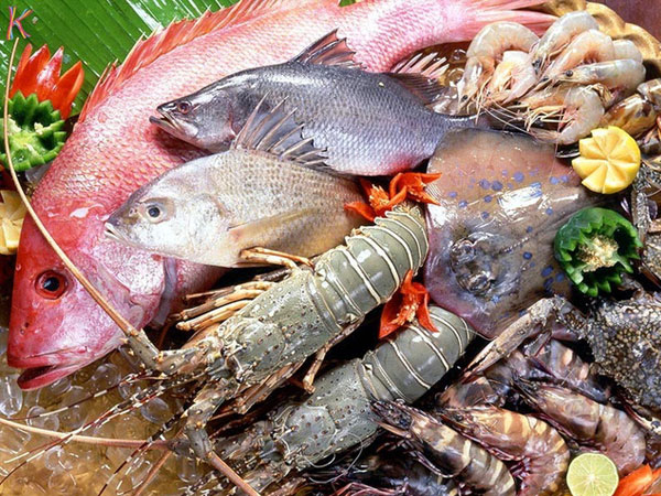 Cánh mày râu “yếu”… vì mất kẽm