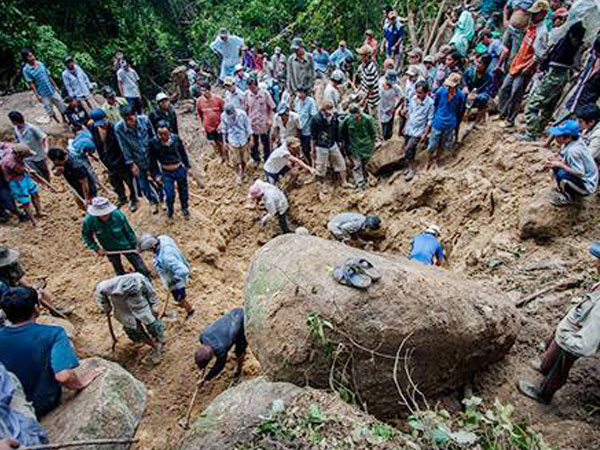 Cuộc tranh giành lãnh địa trong rừng của giới phu trầm