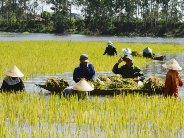 Dân bảo xả lũ gây ngập, chủ hồ chứa nói xả đúng quy trình