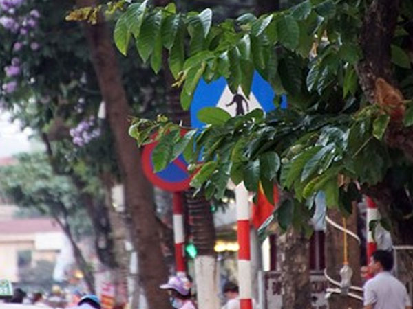 Biển báo giao thông "thách thức" người đi đường Thủ đô