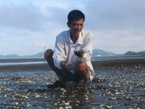 Cá, nghêu chết ở Hà Tiên: Có hóa chất trong nước biển