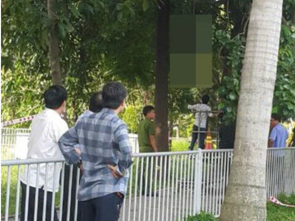 Người đàn ông treo cổ trên cây tại Tân Sơn Nhất