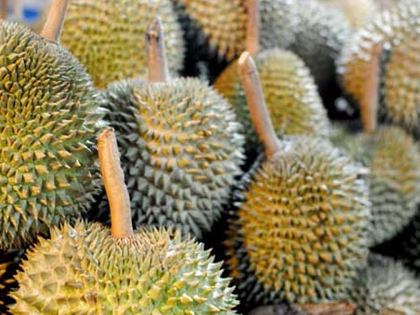 Sầu riêng mini sốt khắp chợ: Nghi ngờ nguồn gốc