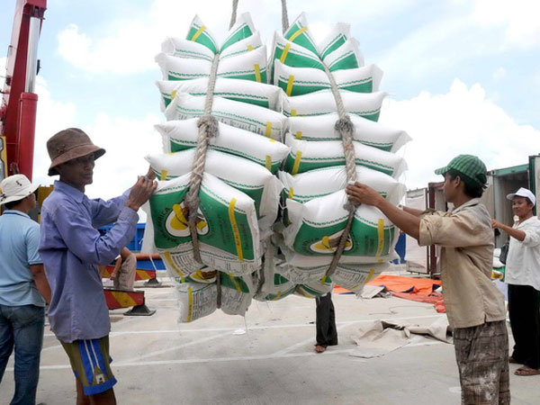 Trung Quốc lại ồ ạt nhập khẩu gạo nếp Việt Nam