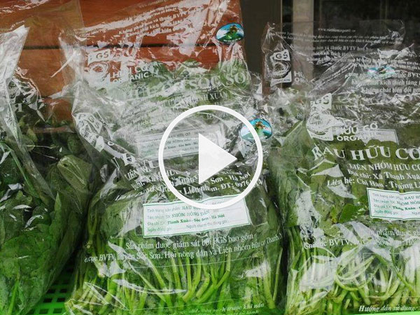 Video: Thị trường rau hữu cơ: Thật - giả lẫn lộn