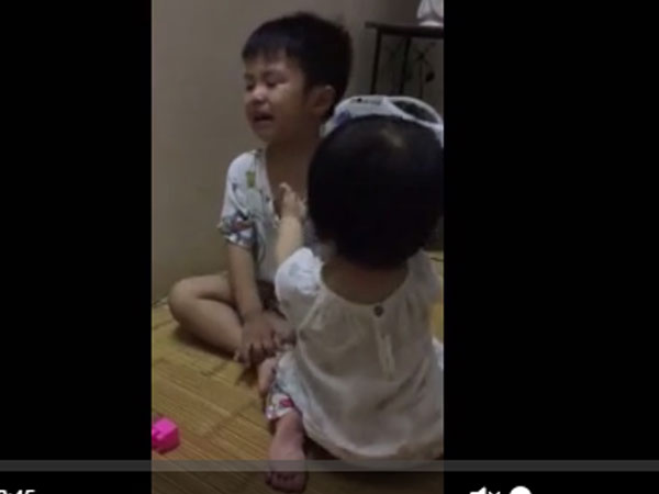 Bé gái 13 tháng gây "sốt" với màn dỗ anh trai 4 tuổi khóc nhè