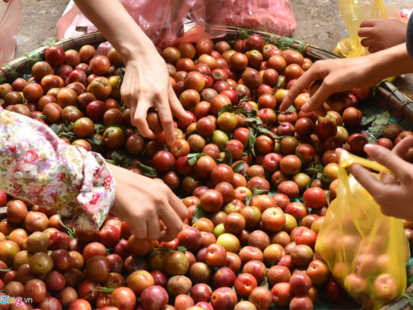 Chợ rượu nếp, vải, mận 'giết sâu bọ' đắt hàng
