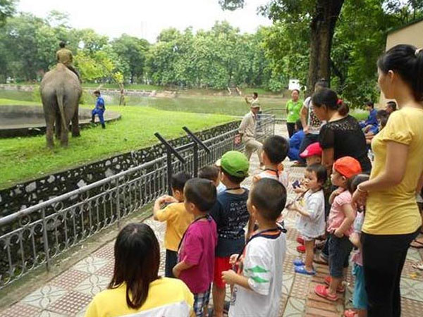 Các địa điểm vui chơi Tết thiếu nhi 1/6 hấp dẫn cho bé ở Hà Nội