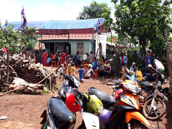 Cây đổ đè chết 1 người, 4 người trọng thương