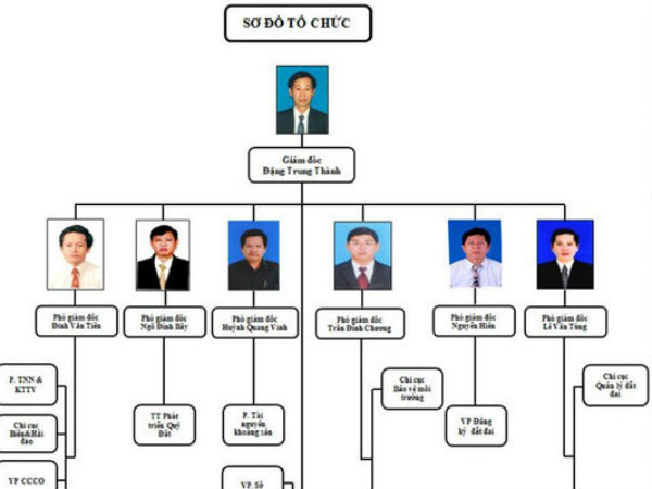 Bình Định "thải" hàng loạt phó giám đốc sở