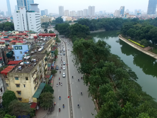 Hà Nội cân nhắc thay thế hơn 4.000 cây xà cừ trong nội thành