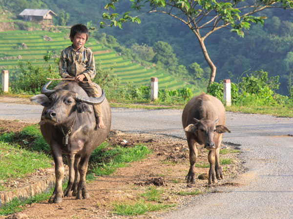 Loạt "khoảnh khắc vàng" và tình trạng báo động về trẻ em Việt Nam