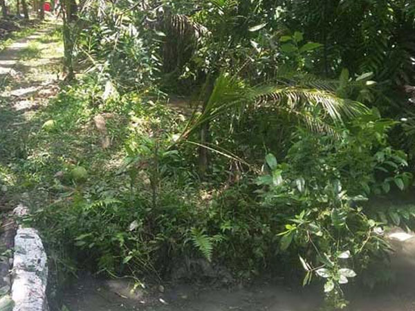 Lời khai của thanh niên giết bà chủ trang trại, giấu xác trong bụi rậm