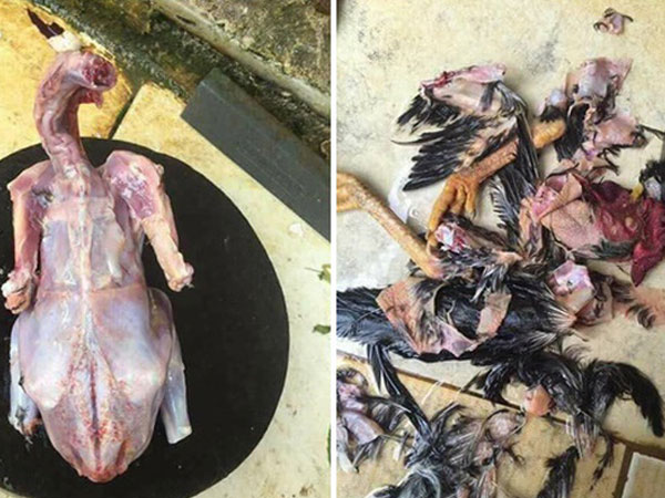 Món gà bạn gái tự làm khi về ra mắt khiến chàng trai lên mạng than khóc