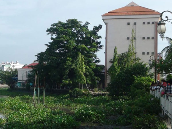 Thi thể cụ bà 70 tuổi nổi trên sông Sài Gòn