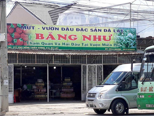 Xử phạt hành chính chủ tiệm mứt ở Đà Lạt đánh khách