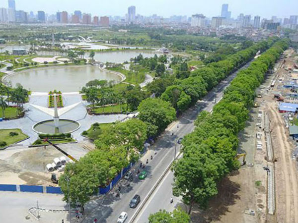 1.000 cây xanh sẽ bị hạ: Không thể cứ có dự án lại chặt cây xanh!