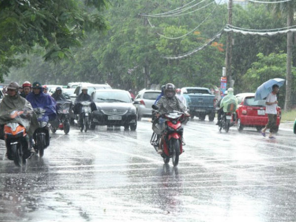 Cơn mưa “vàng” giải nhiệt “chảo lửa” xứ Nghệ