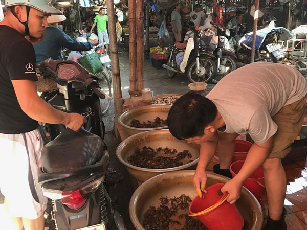 Cua đồng khan hiếm tăng giá, ăn cả cua ngất cua liệt