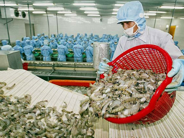 Úc chính thức dỡ bỏ lệnh cấm nhập khẩu tôm tẩm ướp