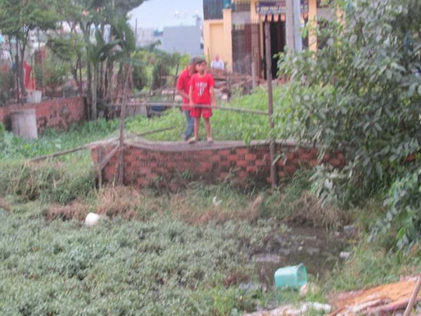 Chồng hờ truy sát vợ, quăng xuống ruộng rau