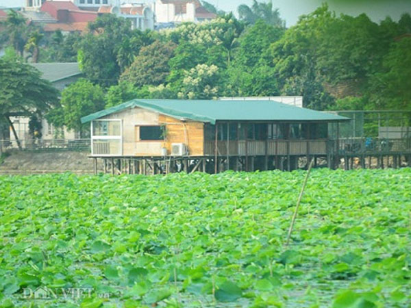 Hà Nội yêu cầu xử lý nghiêm việc lấn chiếm hồ Đầm Trị