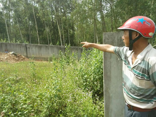Bị cả ngàn con ong tấn công ở nghĩa địa, 14 người đi cấp cứu