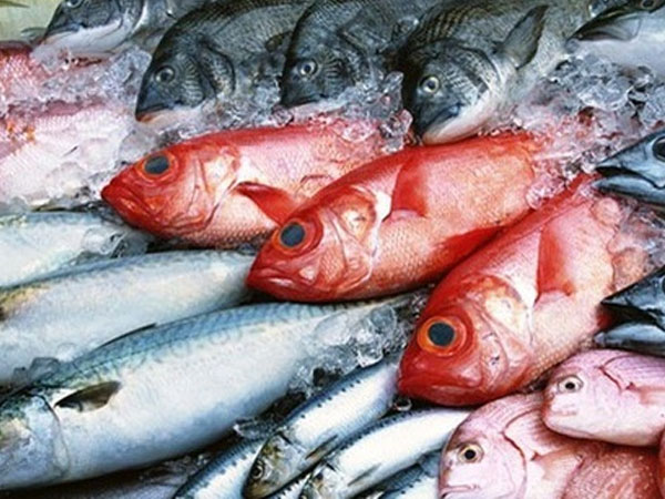 Hậu Formosa, vẫn còn khoảng 5000 tấn hải sản tồn kho chờ tiêu thụ