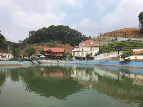 Yên Bái: Thanh tra việc chuyển đổi siêu tốc hơn 13.000m2 đất rừng