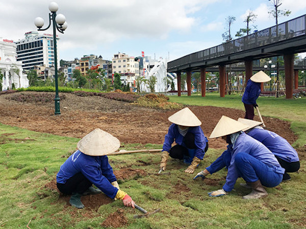 Công viên trăm tỉ nhiều chỗ bị xơ xác vì nạn trộm hoa