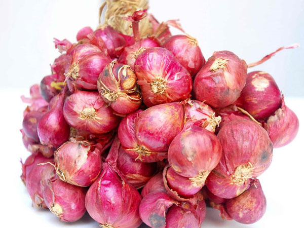 Hành tím giúp đẩy lùi ung thư