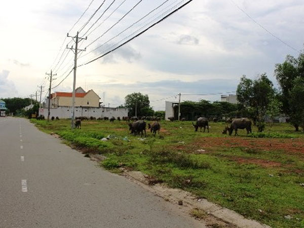 Vị đắng sau cơn sốt đất tại Bình Dương