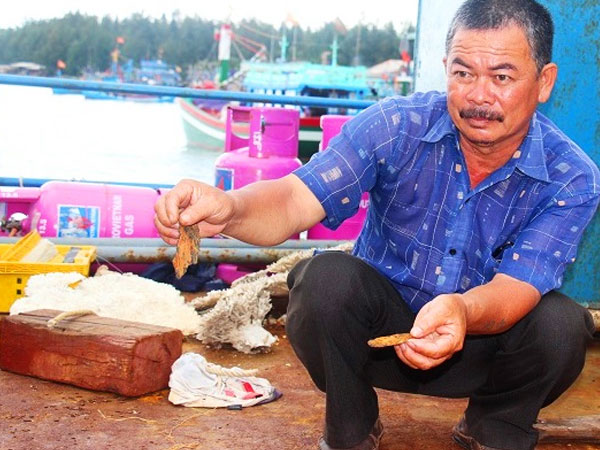 Sự thật mới tiết lộ về tàu 67: Chủ công ty cấp máy dọa... tự vẫn